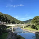 Does Hakone Free Pass make your trip easily?